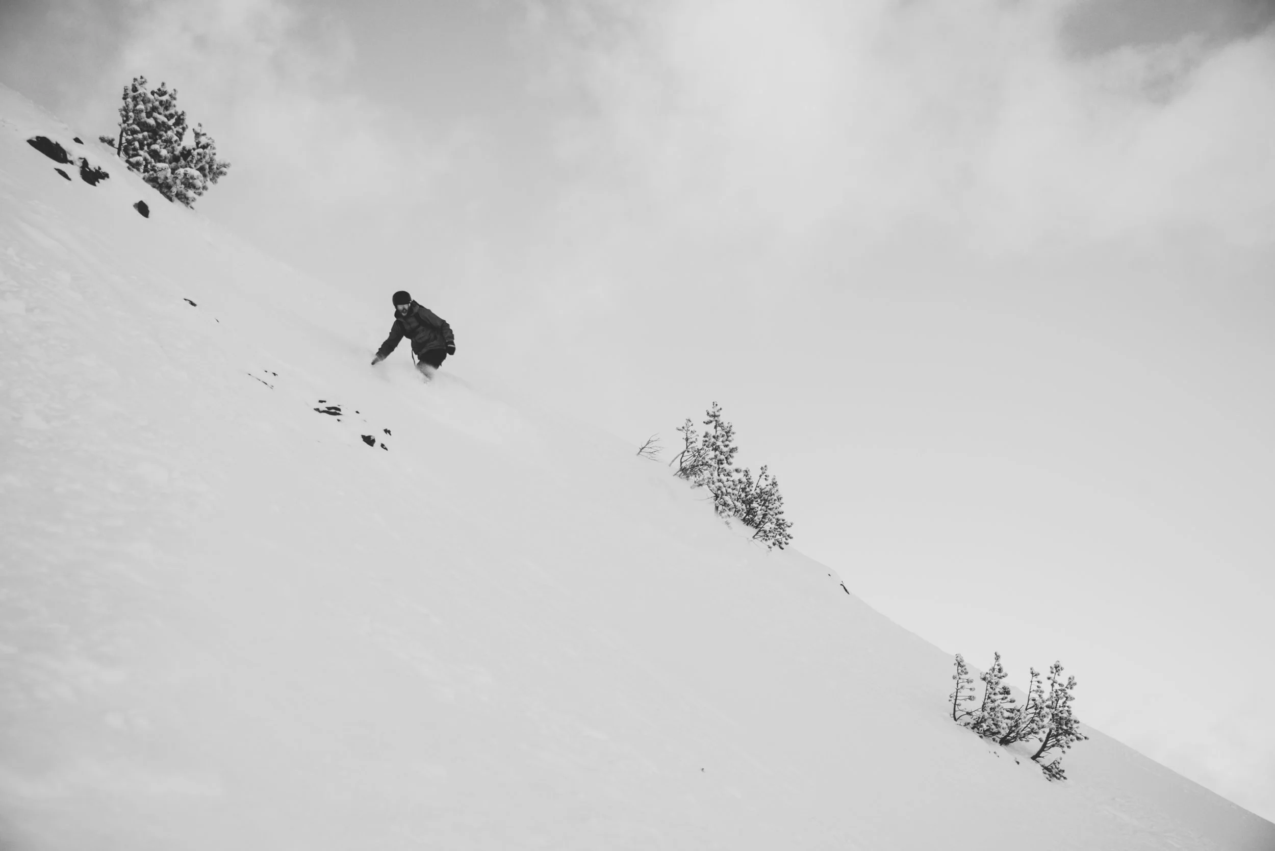 DSC_3239.jpg