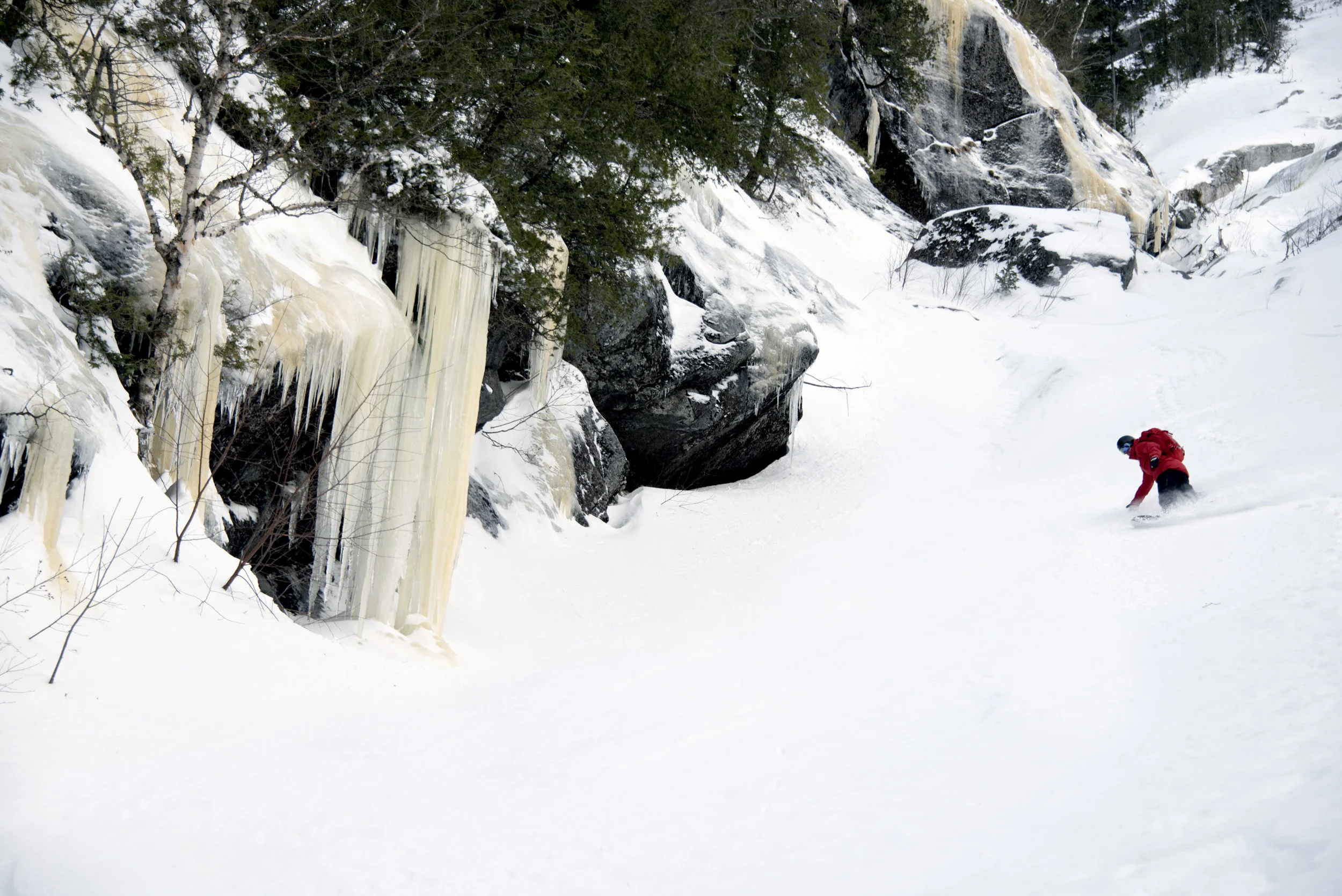 DSC_1176.jpg