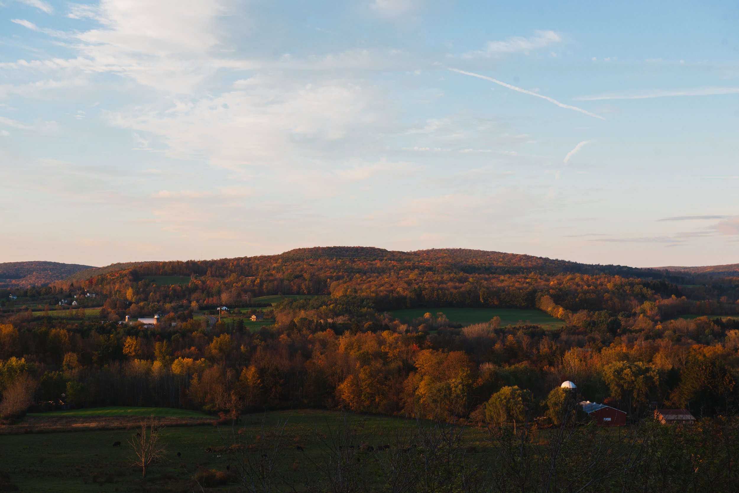 DSC_7386.jpg
