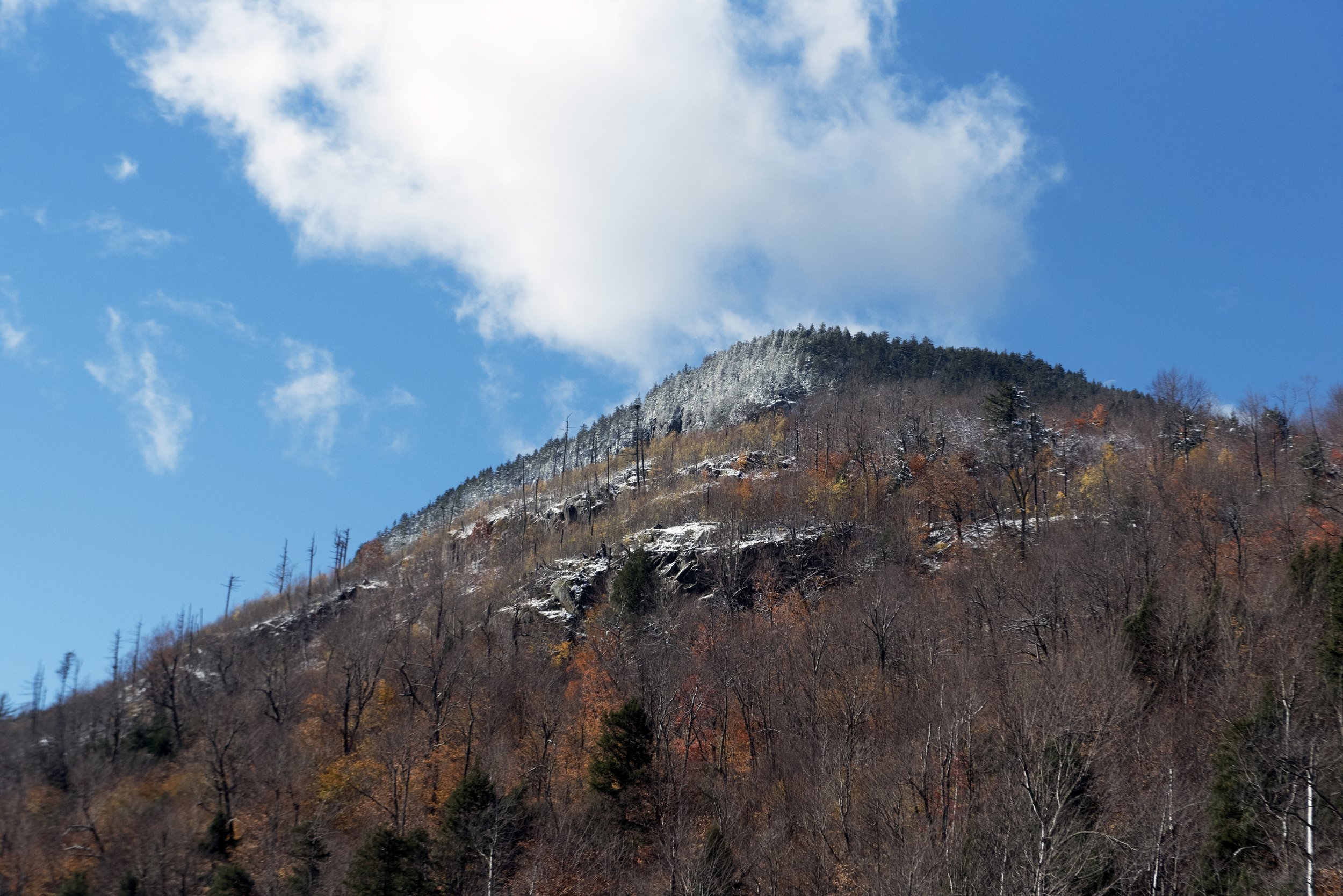 DSC_0173.jpg