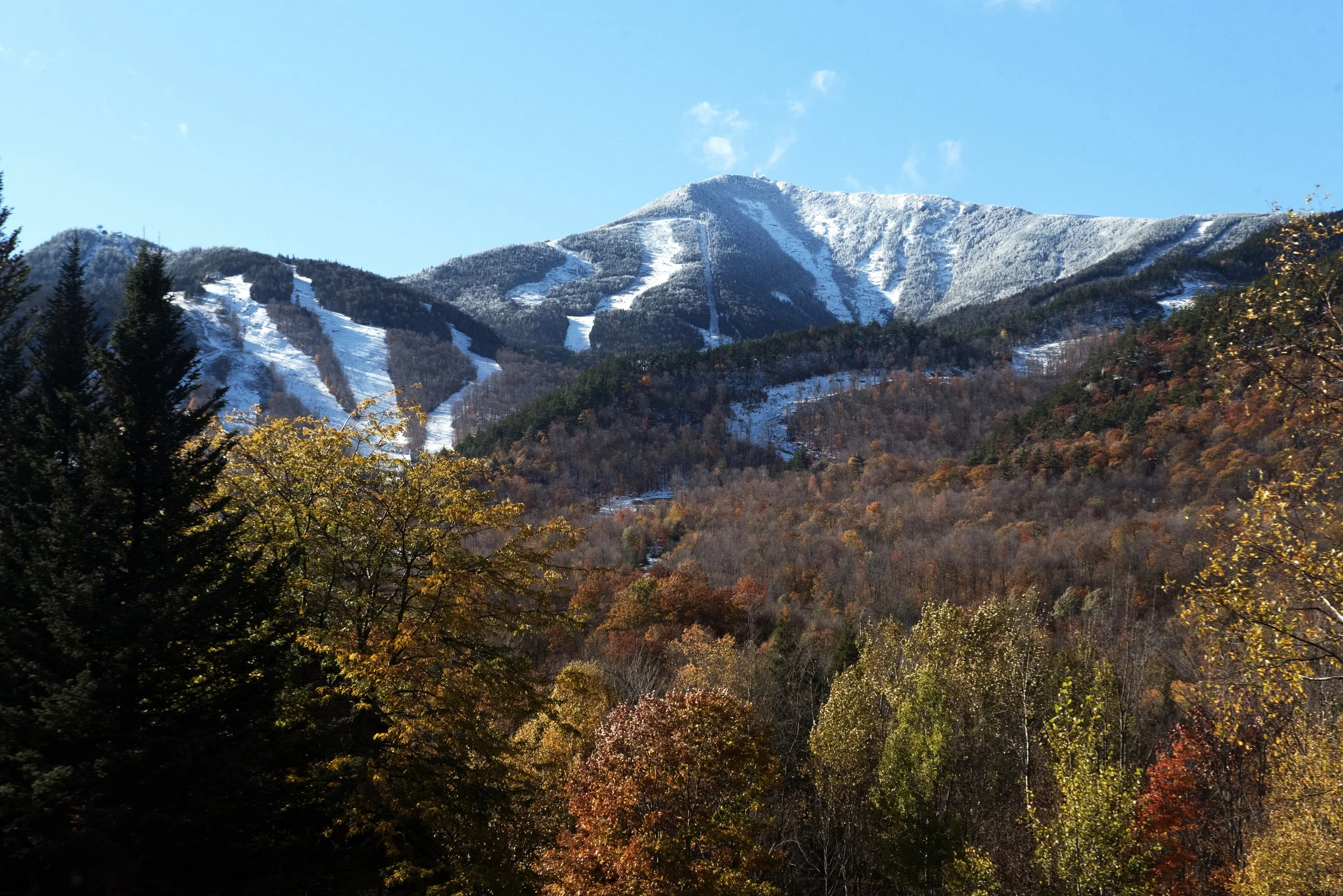 DSC_0265.jpg