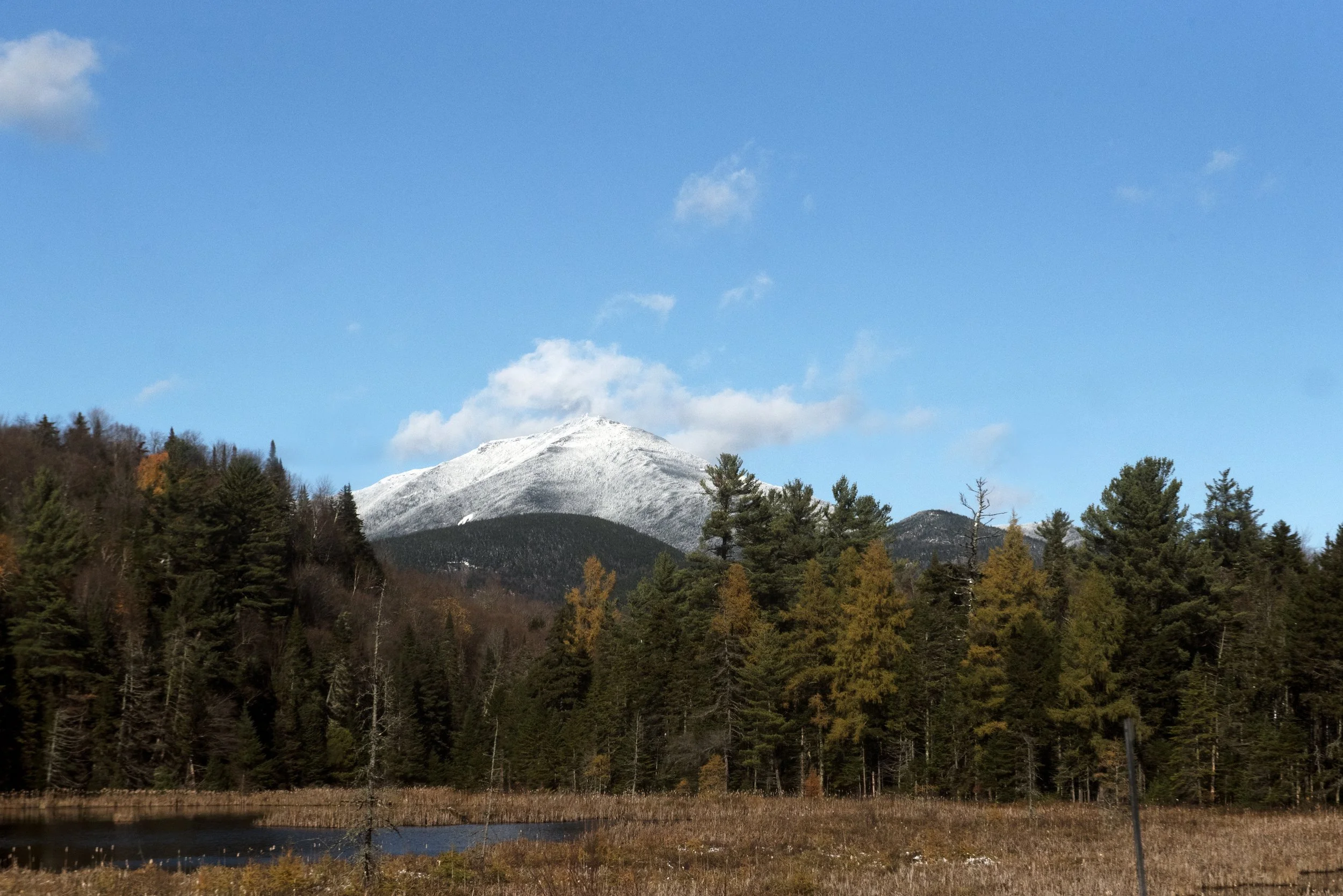 DSC_0251.jpg