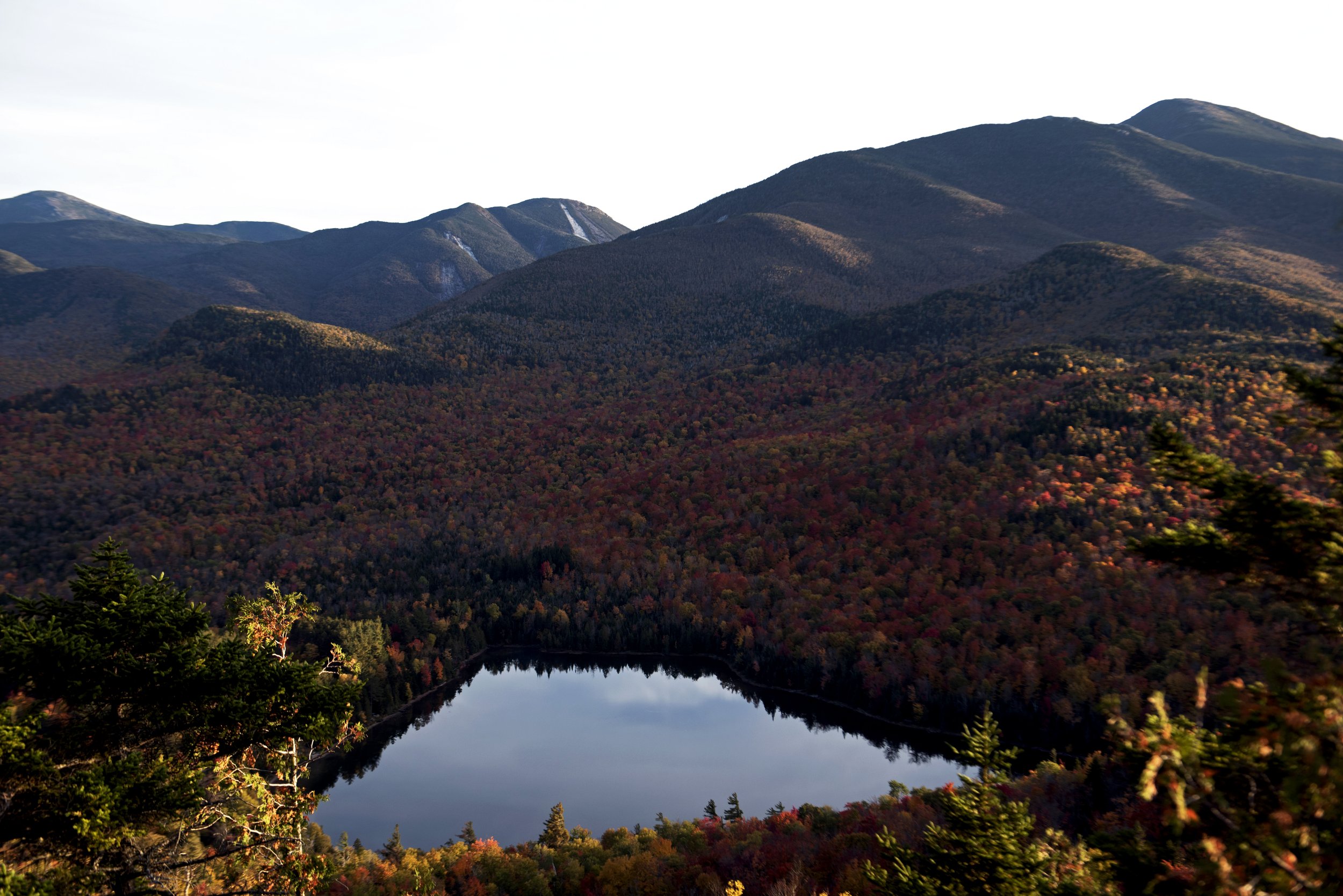 DSC_9290.jpg