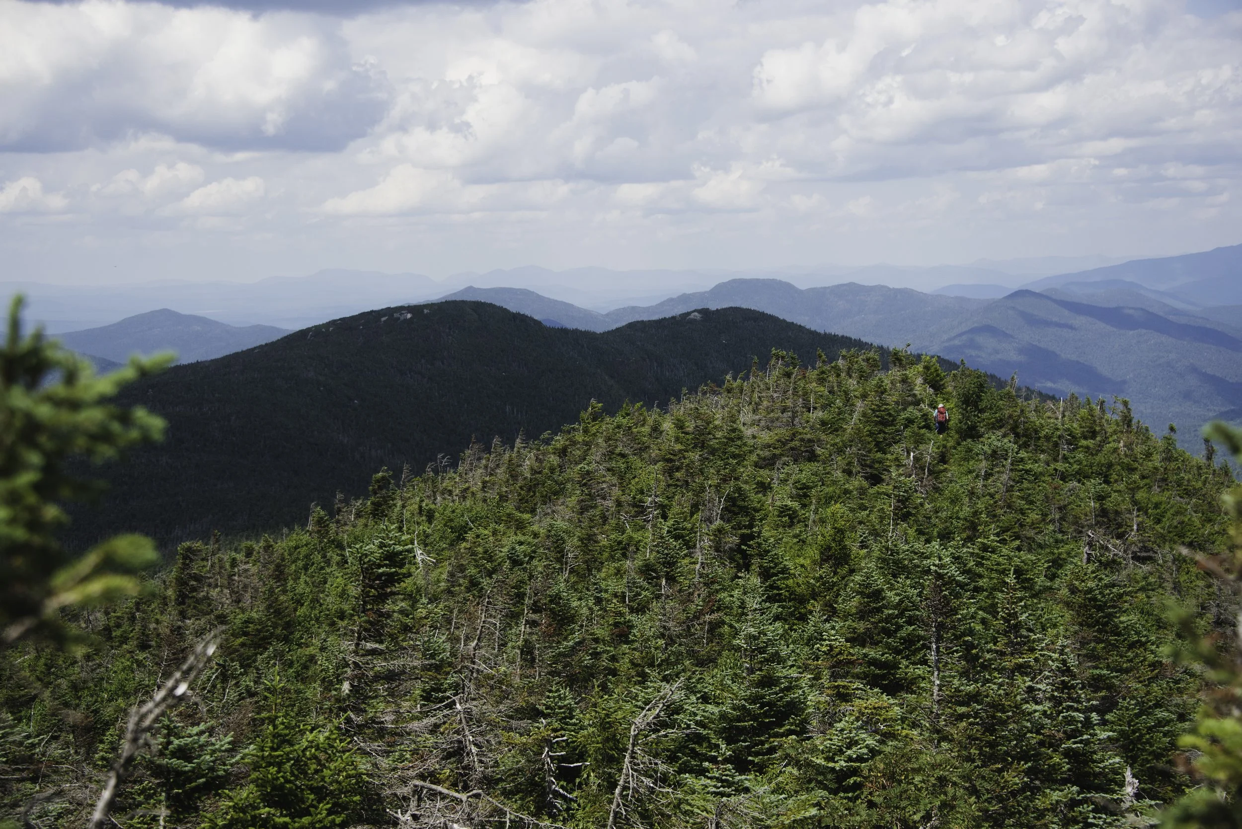 DSC_2659.jpg