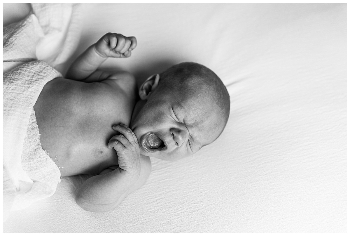 avett-newborn-portrait_0006.jpg