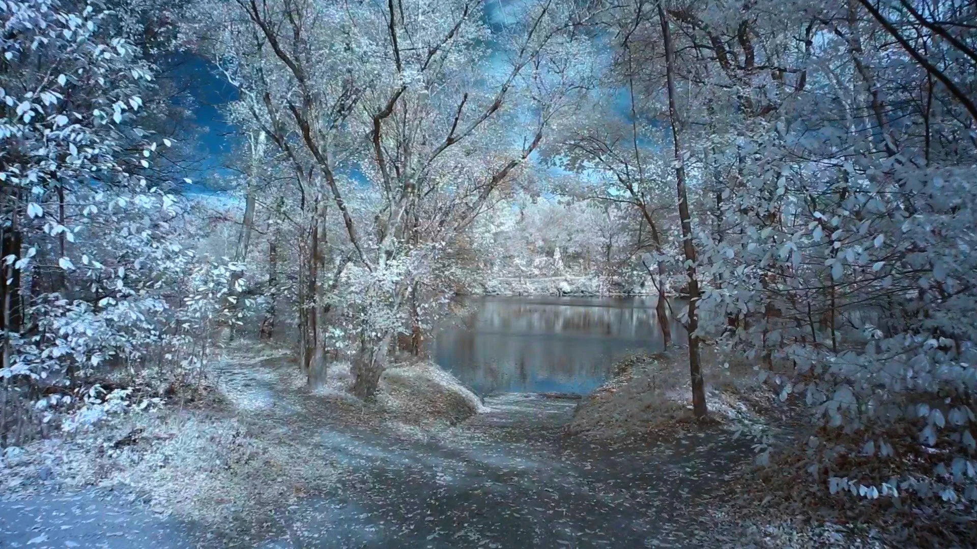 Emotional  Dimensions on the James River.jpg