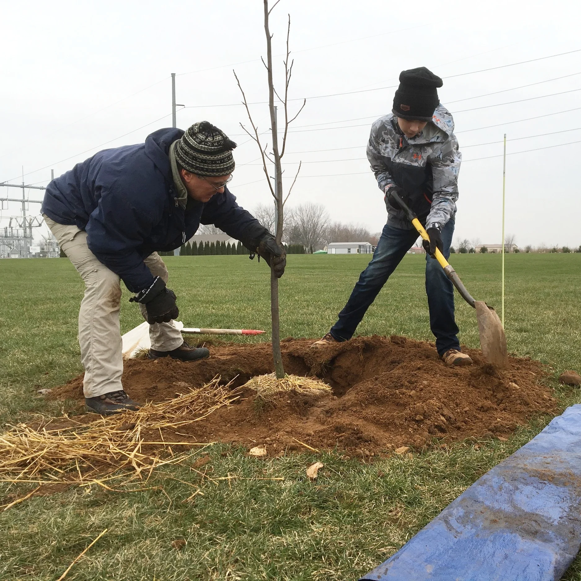 Planting the first trees at the Complex in January 2017.