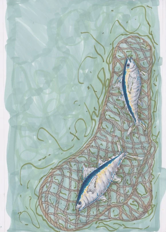 tunalow1-580x808.jpg