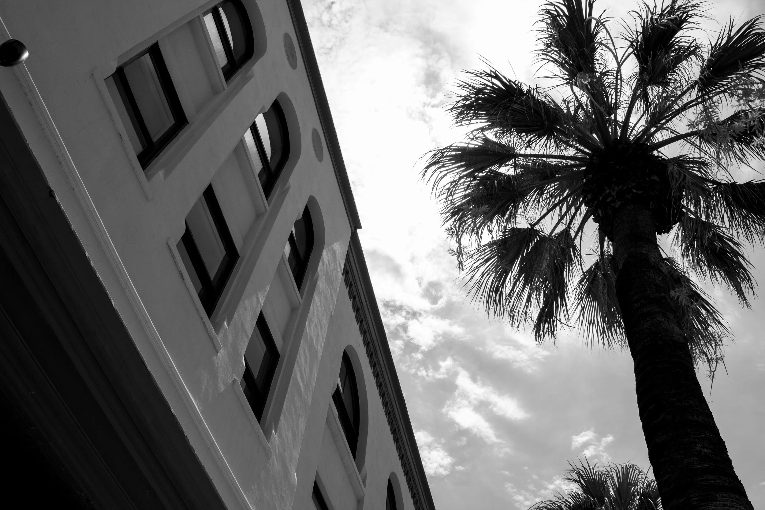 Architecture-36.jpg