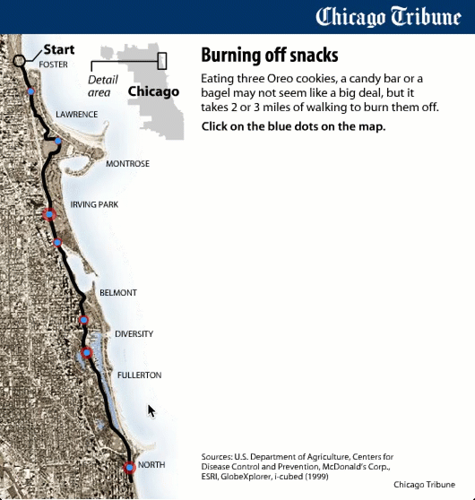 Chicago Tribune, Interactive Graphic, 2005