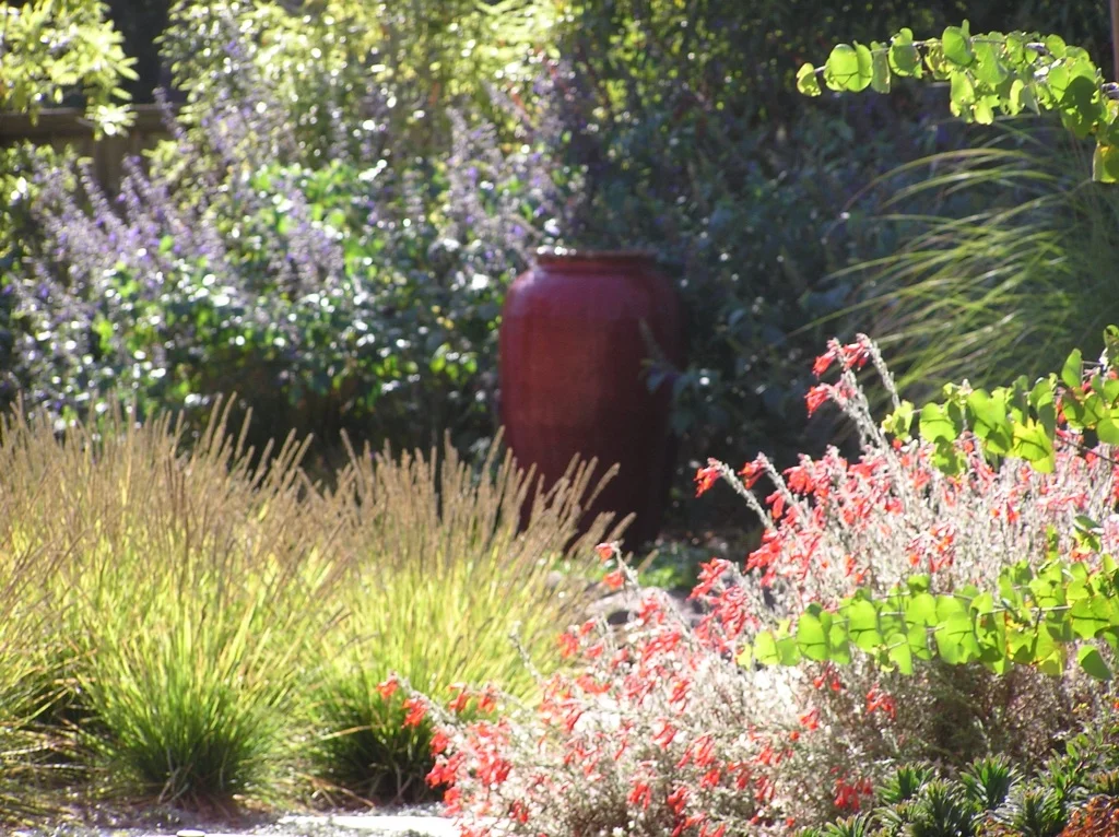 hill st fountain.jpg