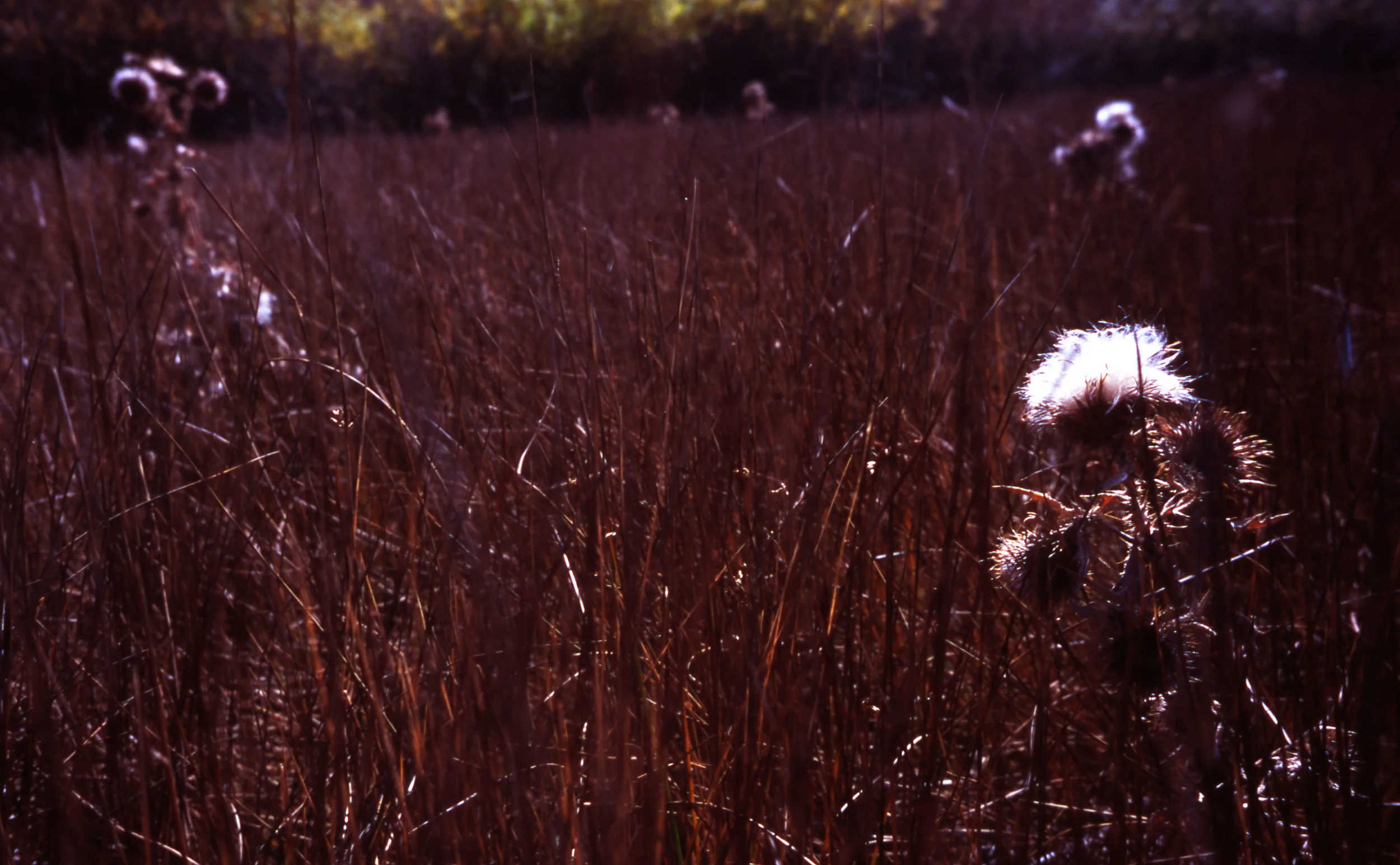 slide film167.jpg