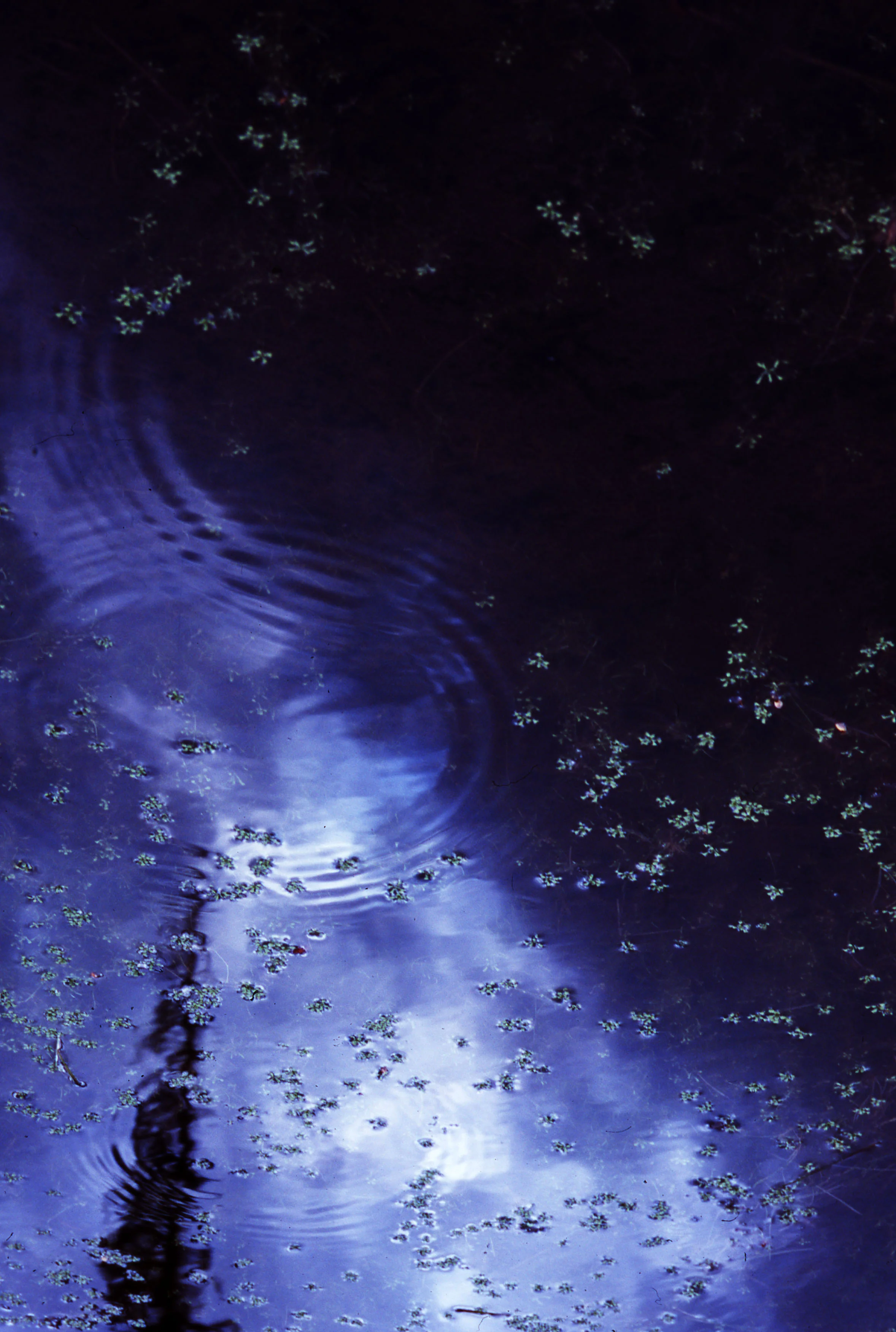rain galaxy 2.jpg