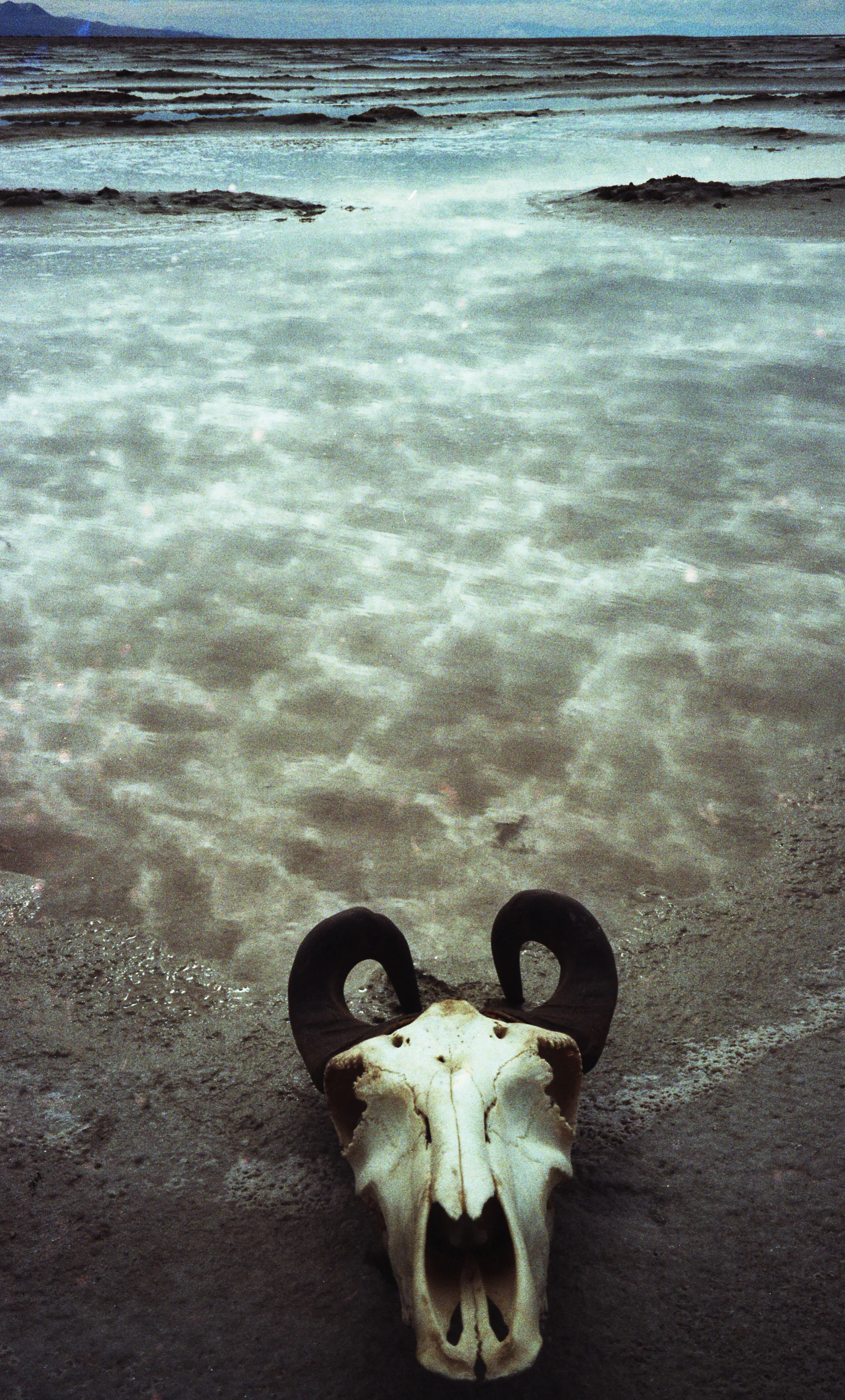 Skulls and Sand