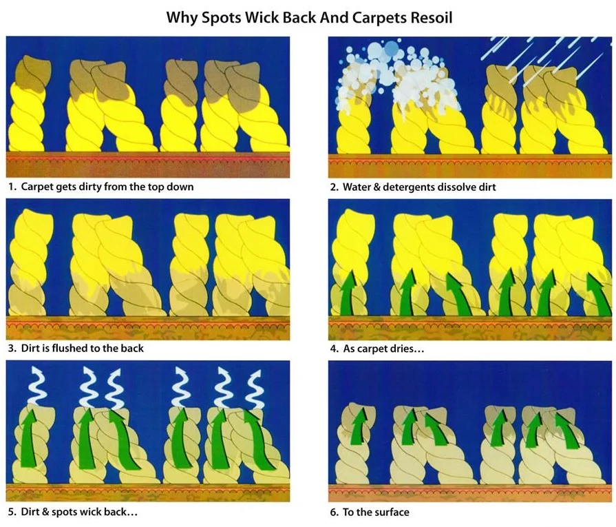 Why Do Stains Appear After Carpet Cleaning