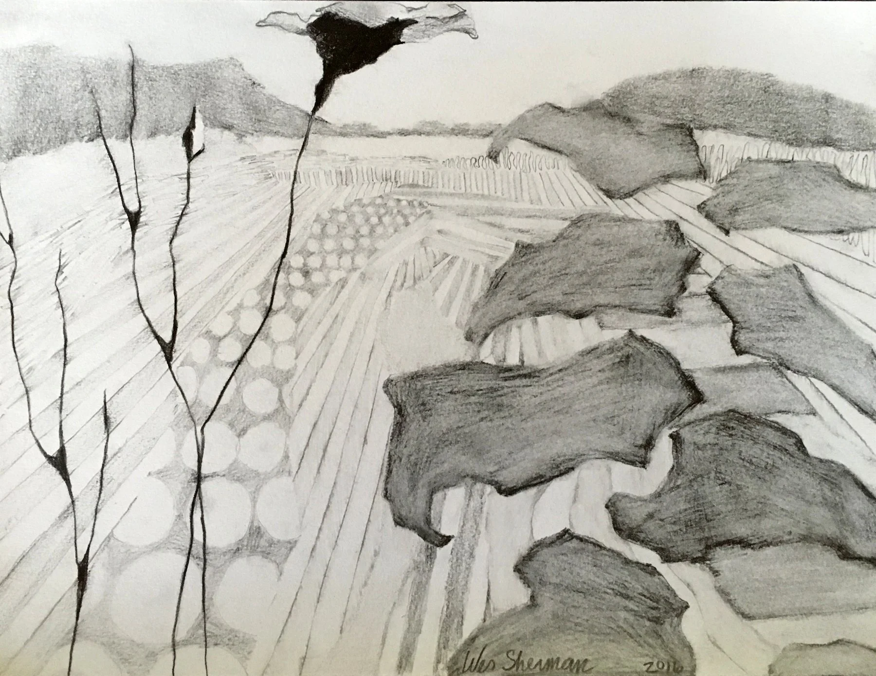 "Bird Sanctuary Drawing 2," Graphite on Paper, 11" x 14"