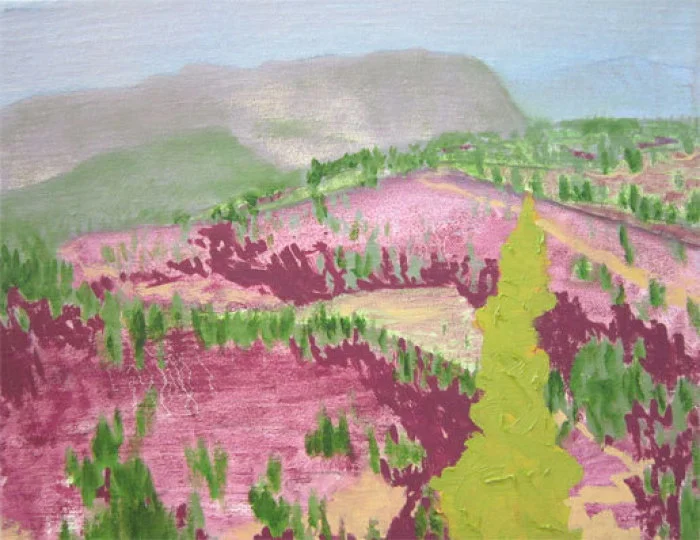 NPP#93A (Tatoosh Ridge)