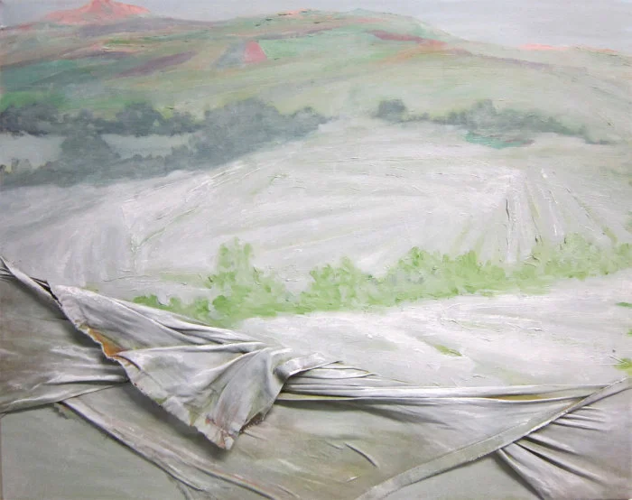 Vista
