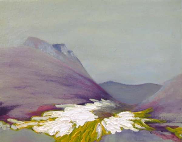 JDI Valley with Arenig on the Left