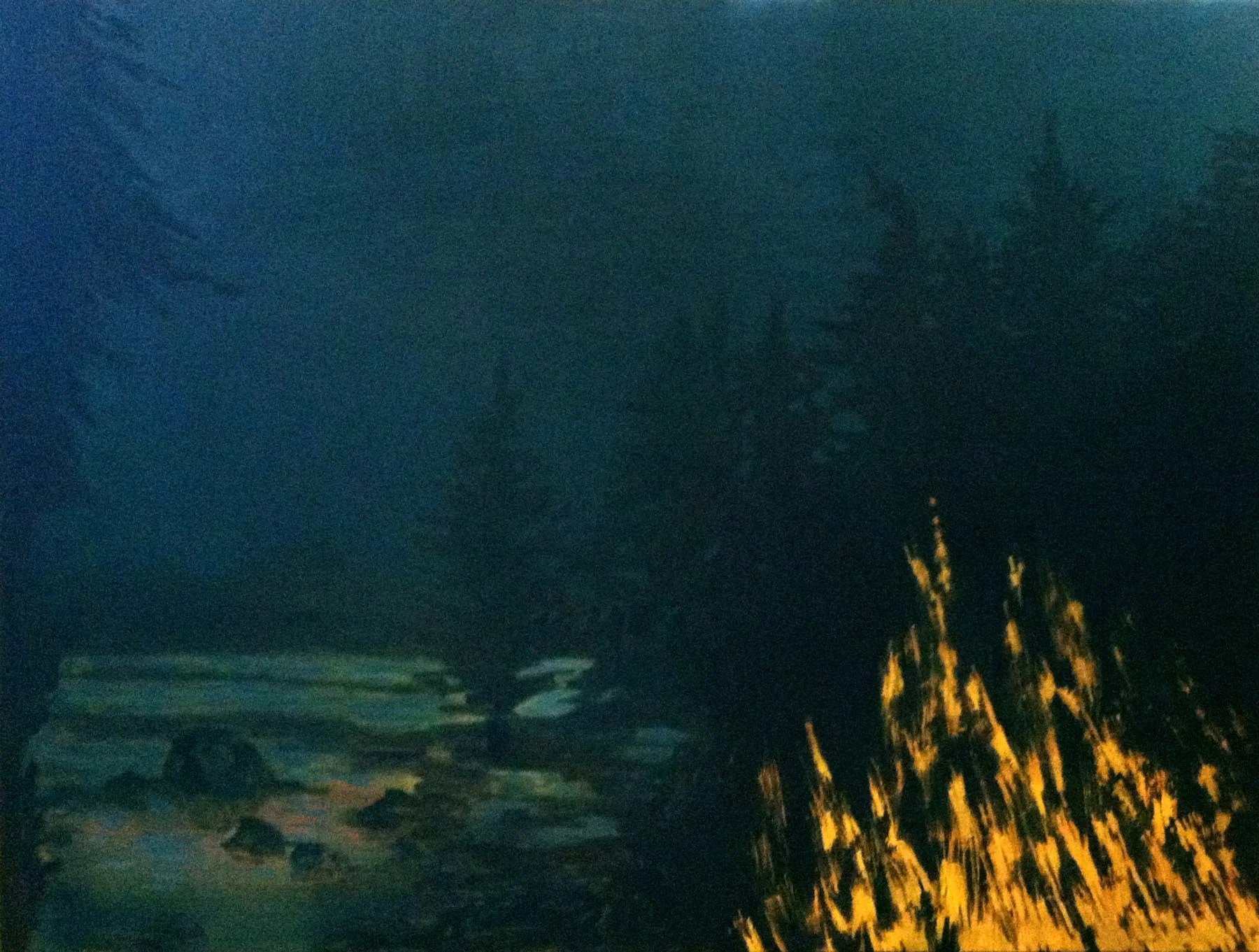 Camp Fire at Sagamore Lake