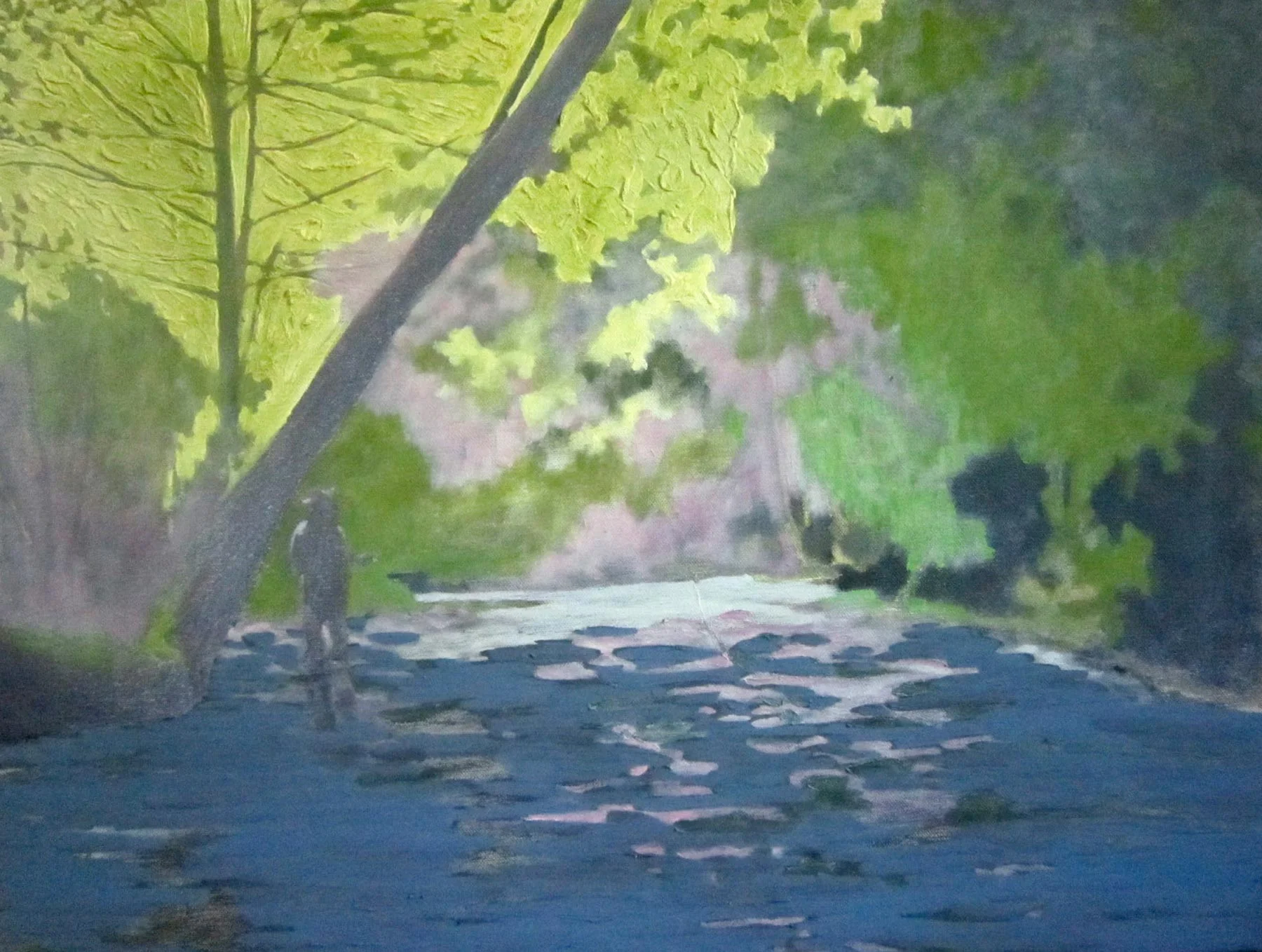 Fly Fishing