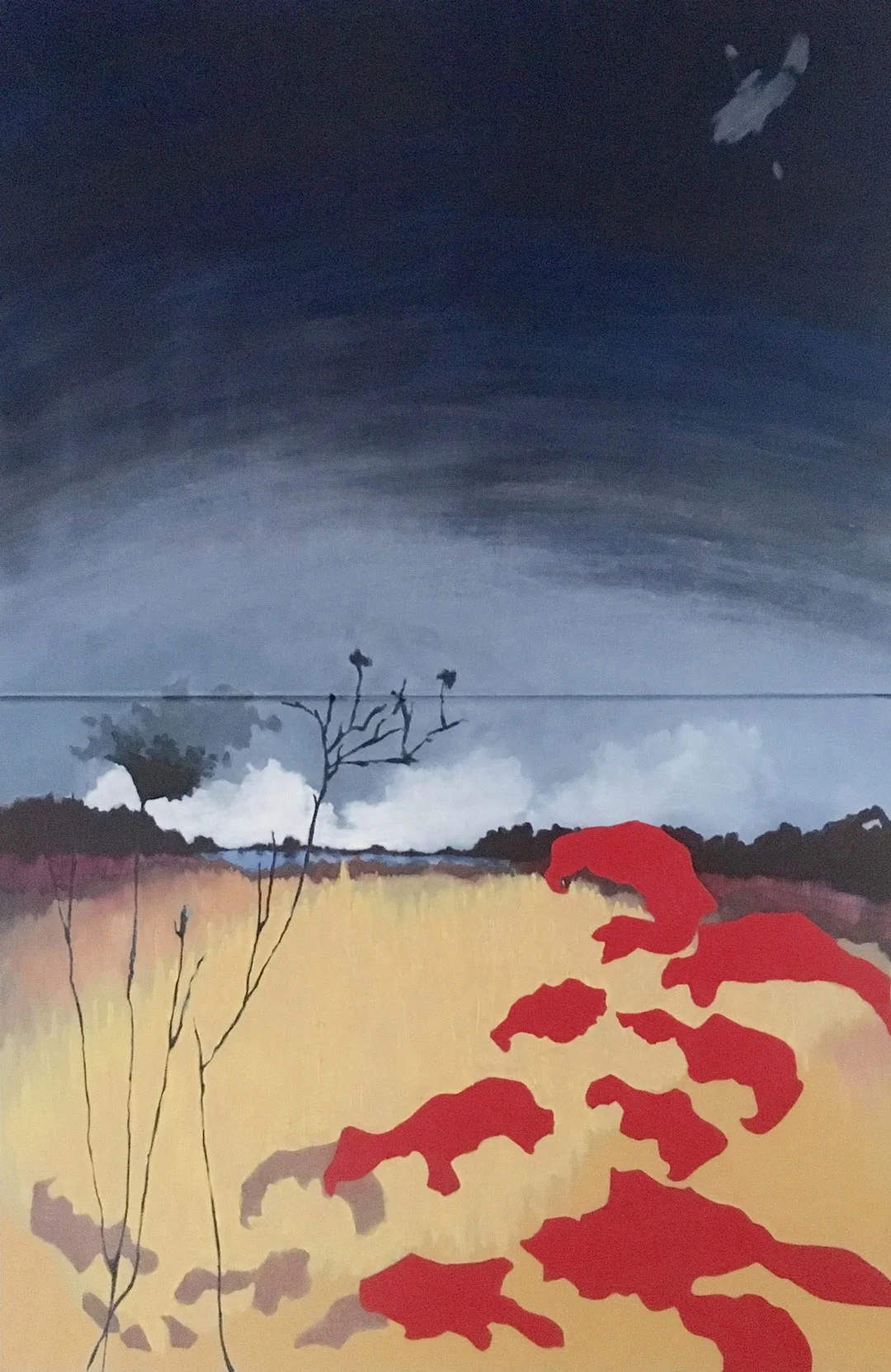 Bird Sanctuary with Hubble