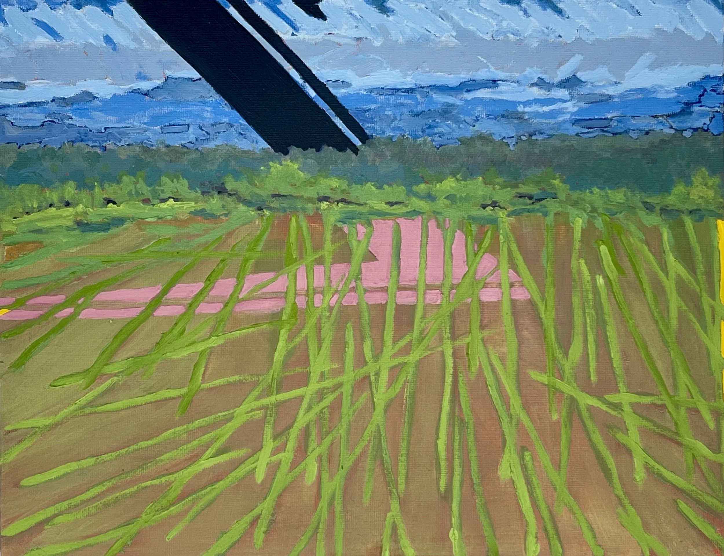 "Untitled 2022-7," Oil Canvas on Board, 11" x 14"