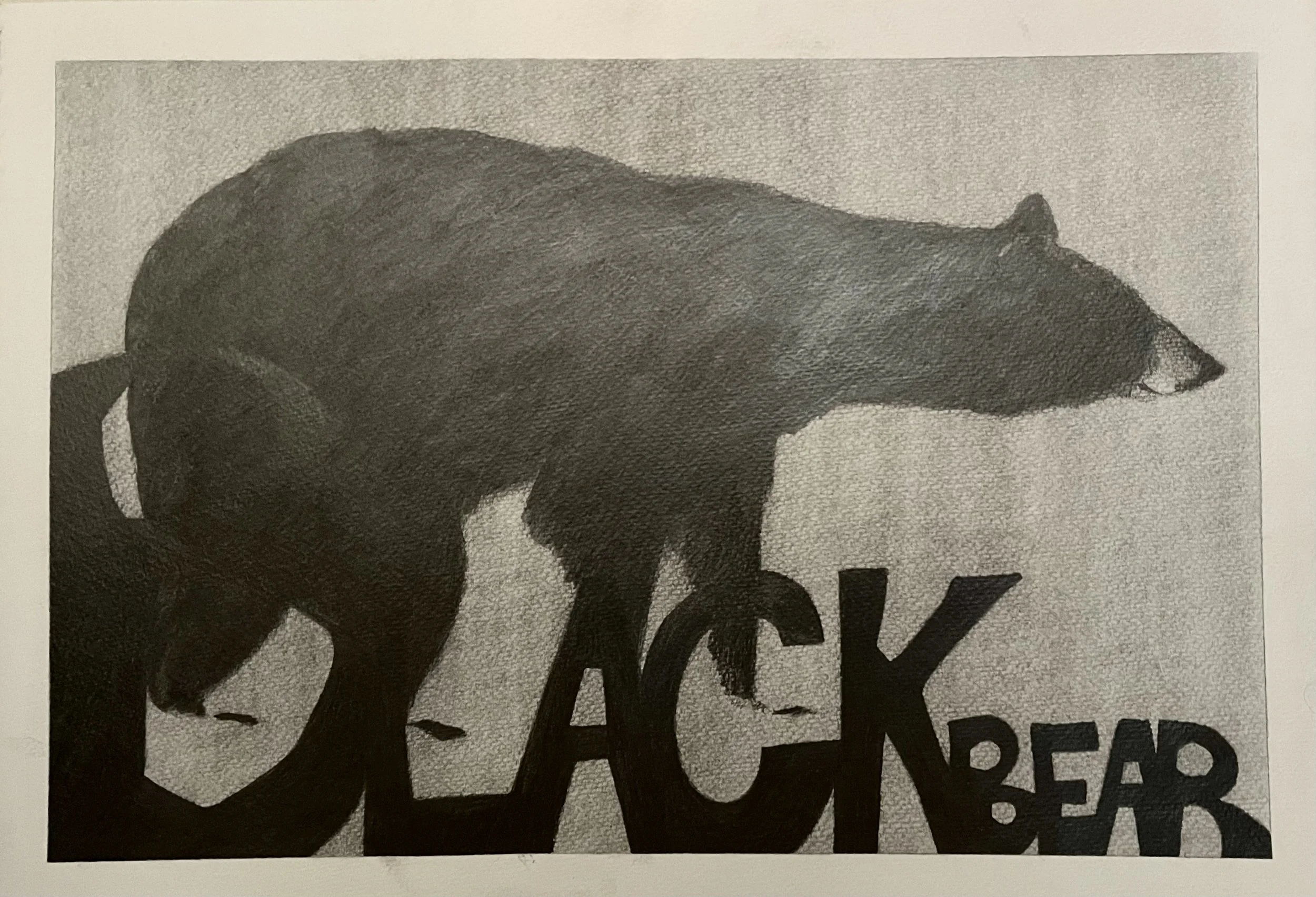 "Black Bear," Oil on Canvas Board, 11" x 14"