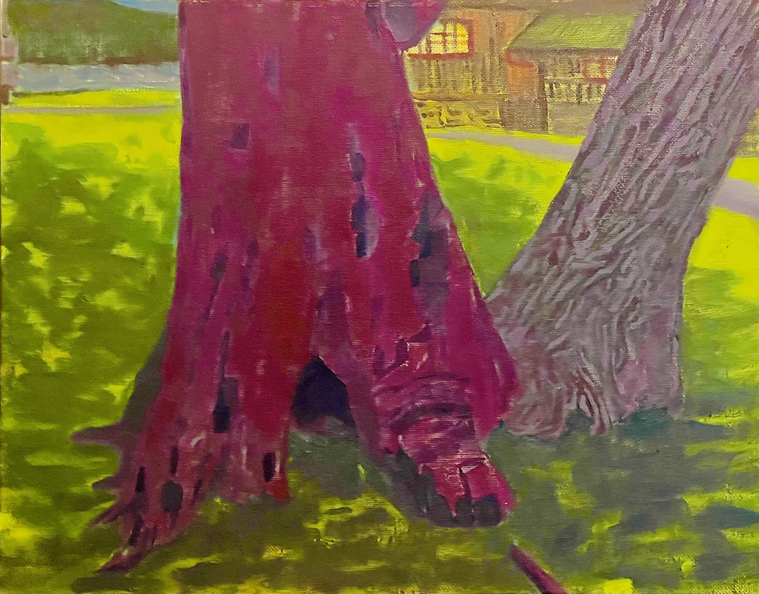What the Trees Remember
Oil on Canvas Board
11 x 14 inches