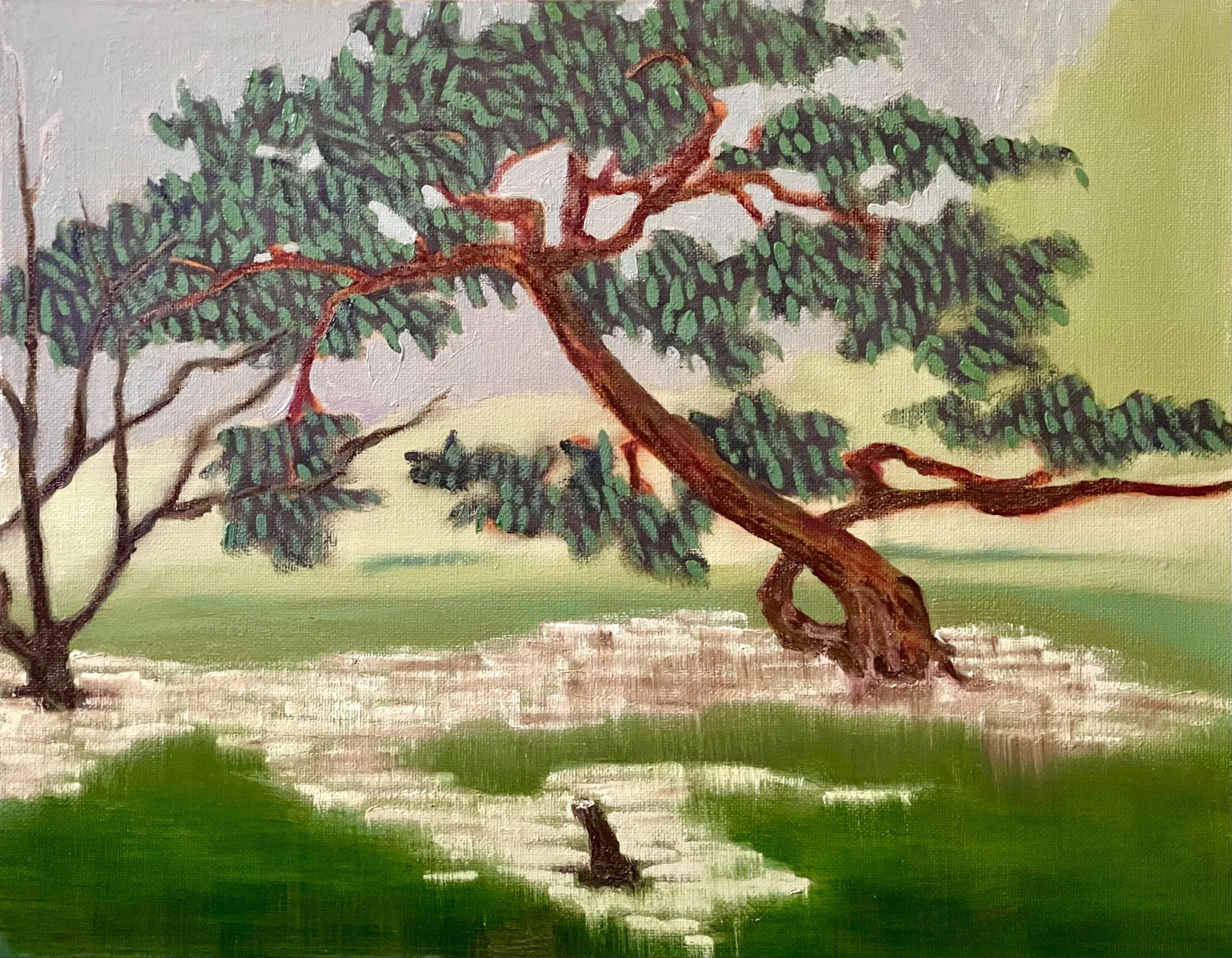 Walking with a Limp, 11 x 14 inches, Oil on Canvas Board, 2026
