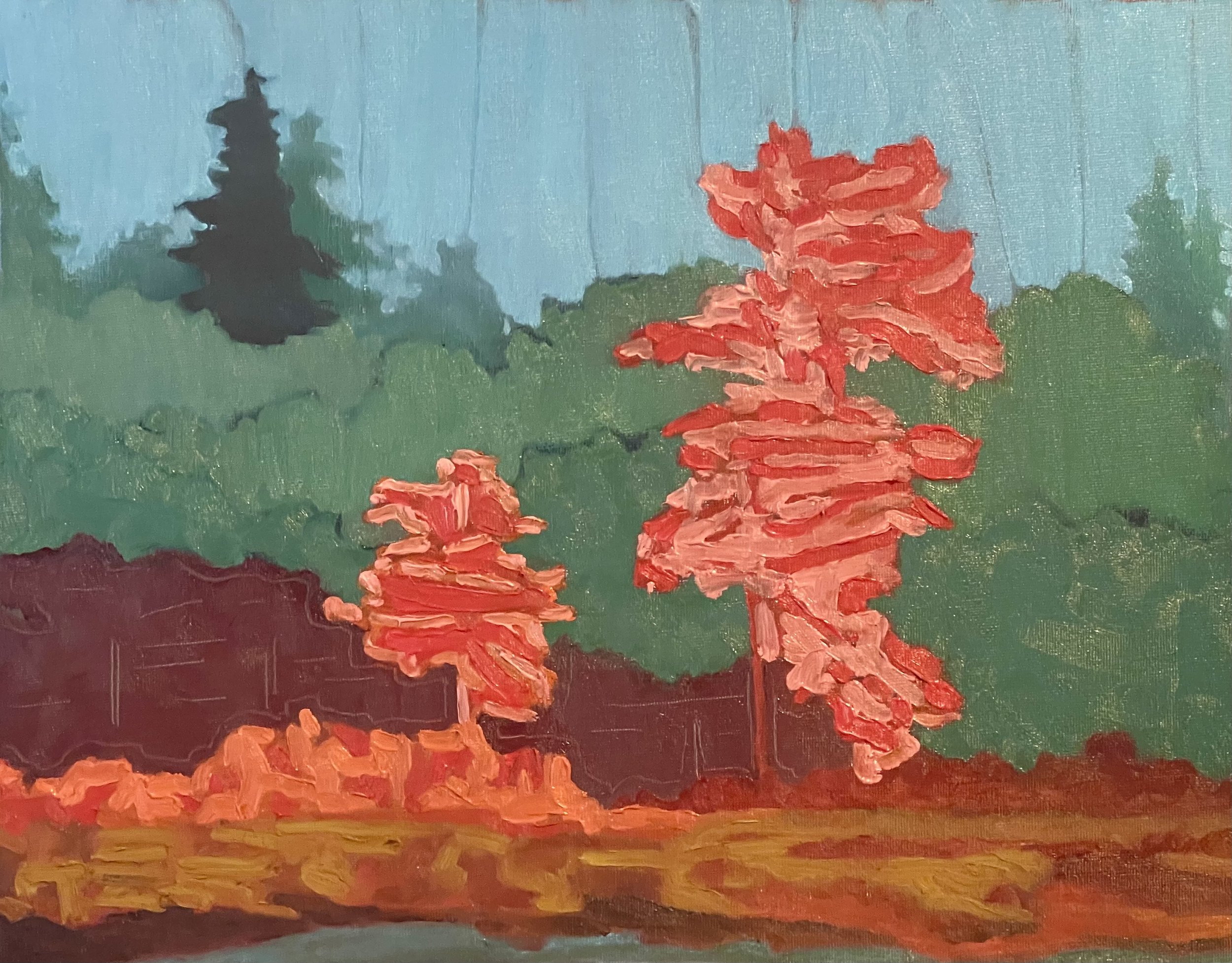 59. With the birds I'll share this lonely view - 2025.jpeg