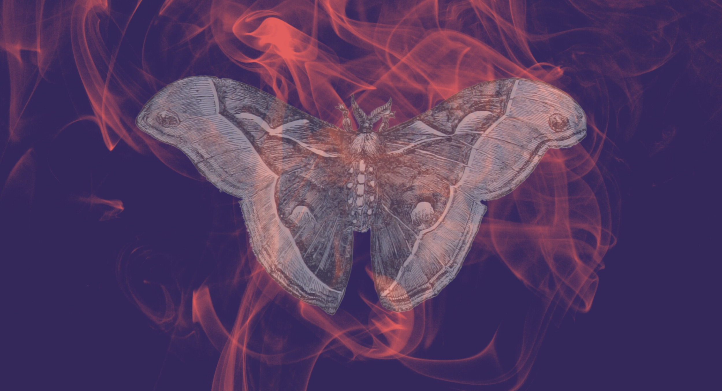 spotify background (1).png