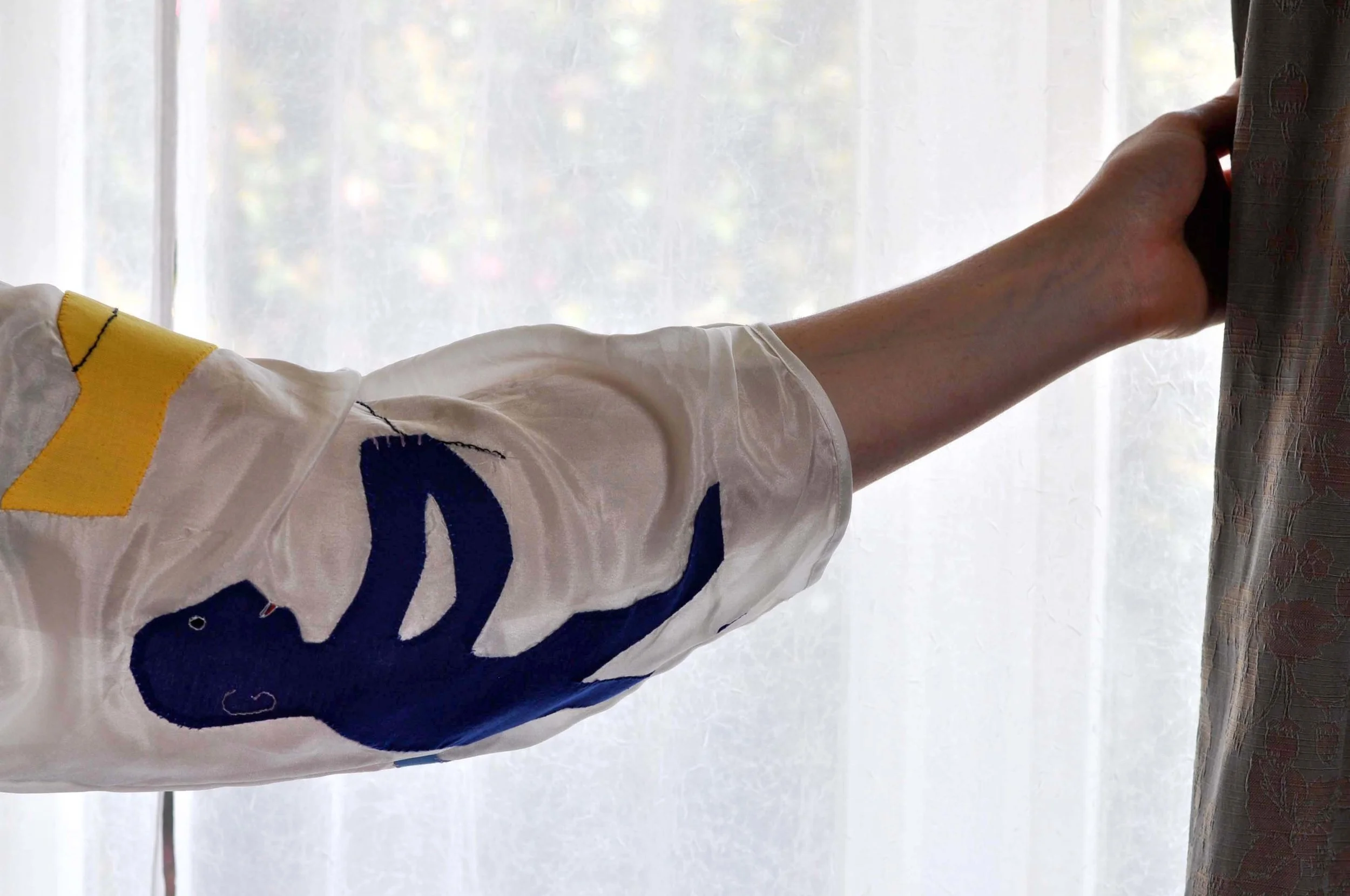 Silk Kimono with Appliqué