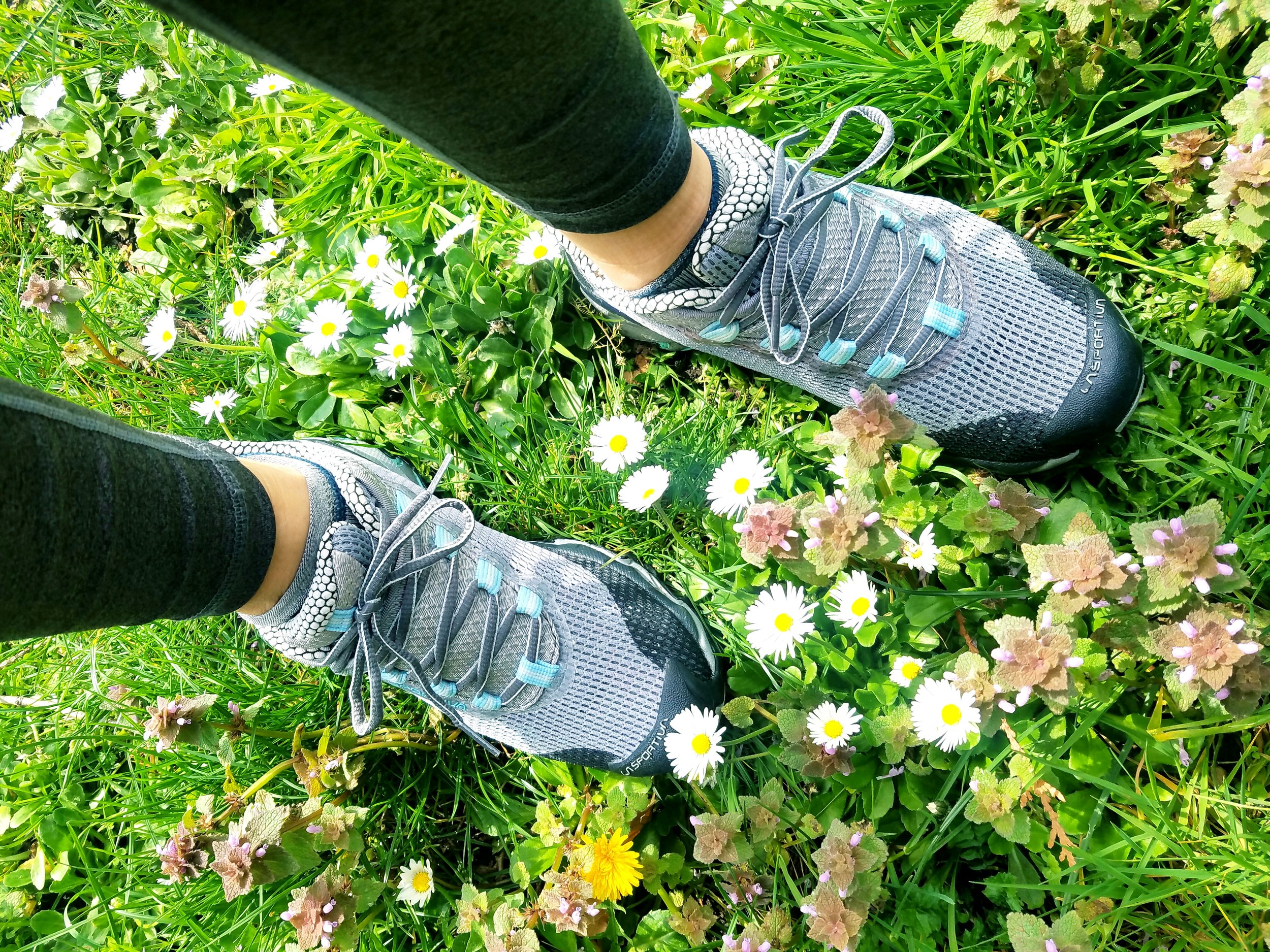 la sportiva women's wildcat trail running shoe
