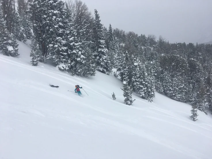 Finally getting the hang of this skiing thing. Photo: Ryan Griffiths
