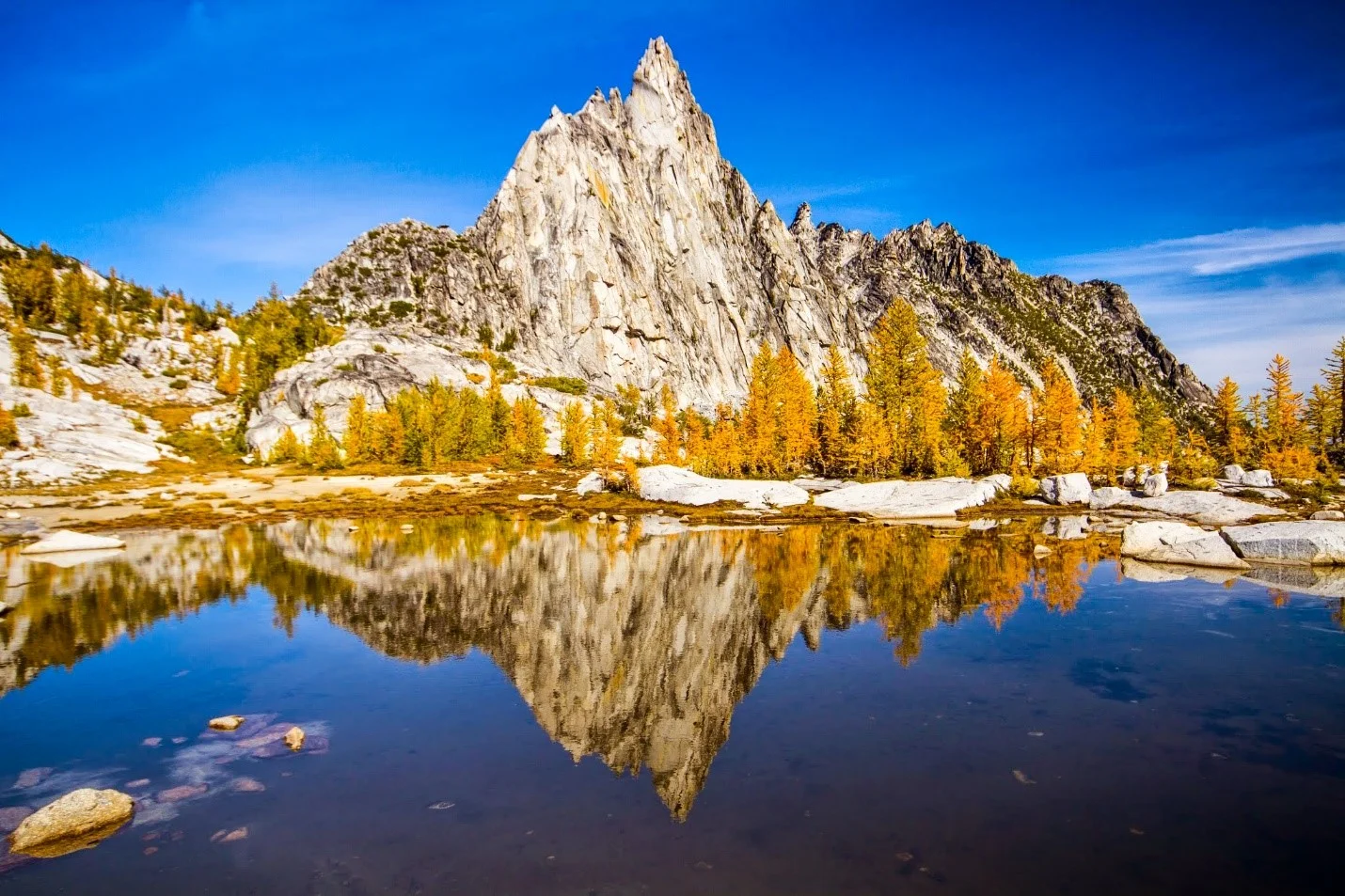 Gnome Tran in Fall, surrounded by Golden Alpine Larch