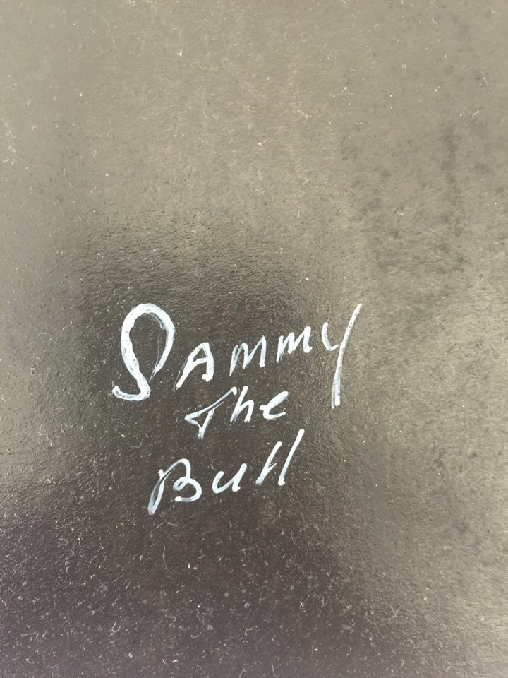 Sammy SIgnature.png