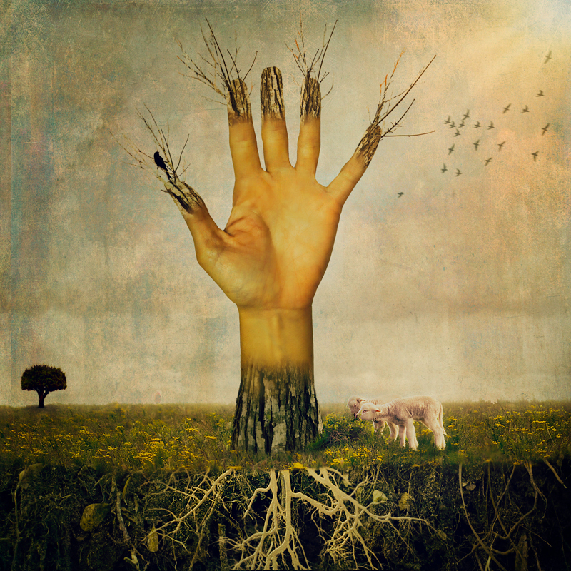 "Spontaneous Proliferation" by Cheeky Ingelosi