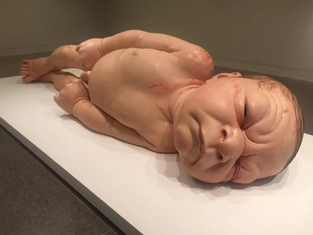 Ron Mueck 1.JPG