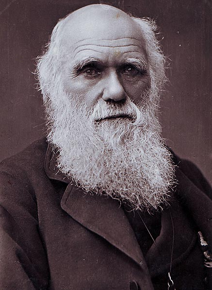 (image from Wikipedia)CHARLES DARWIN:&nbsp; &nbsp;Rose at 8 am, had breakfast and a short walk. Focused on work for 90 minutes.