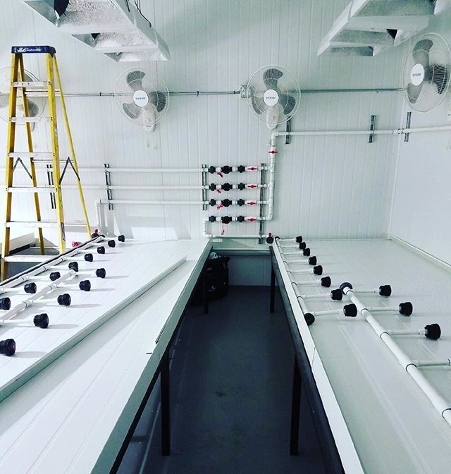 Featured here are Canna Panels Wall, Ceiling, and Custom Tray Systems installed by the one and only @thecannabis_machine  using our one of a kind panel system . Imagine ...LESS EXPENSIVE! 60% FASTER BUILDTIMES ! NO OFF GASSING! NO VOCs! NO PAINT REQU