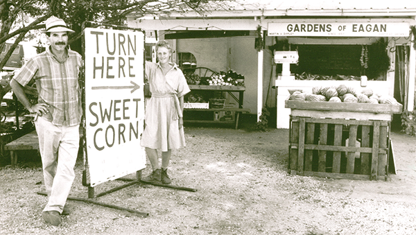 Turn Here Sweet Corn  