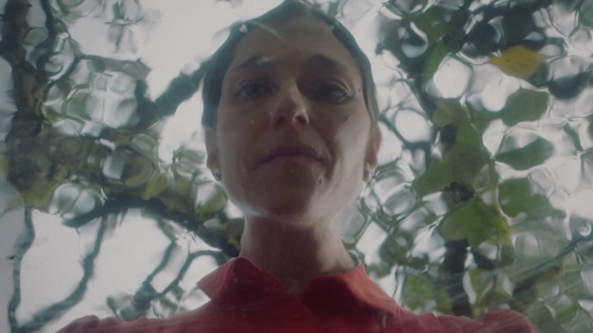 mal de tierra - dance film