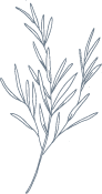 rosemary.png