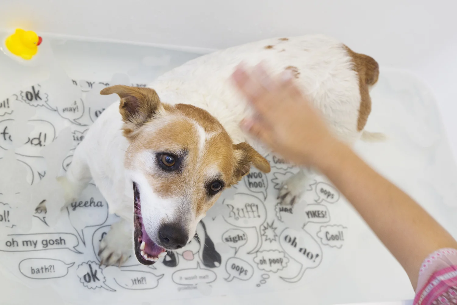 dog shower mat