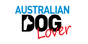 'Top 20 Christmas Gifts for Dog Lovers'