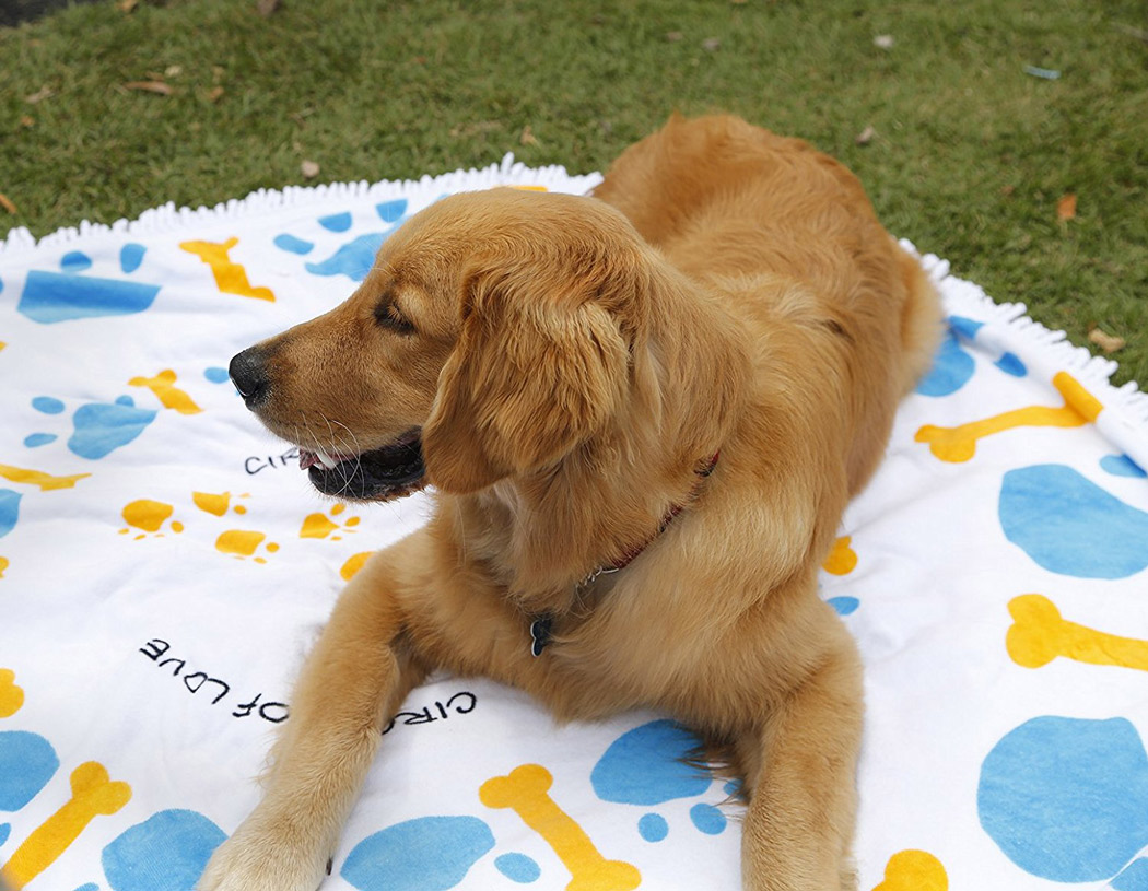 blue-yellow-round-towel.jpg