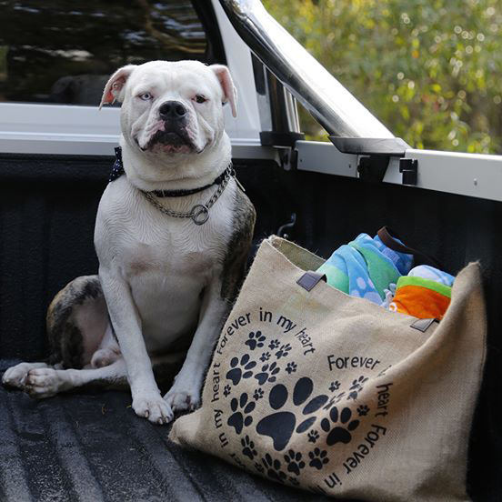Growl Towels Beach Bag