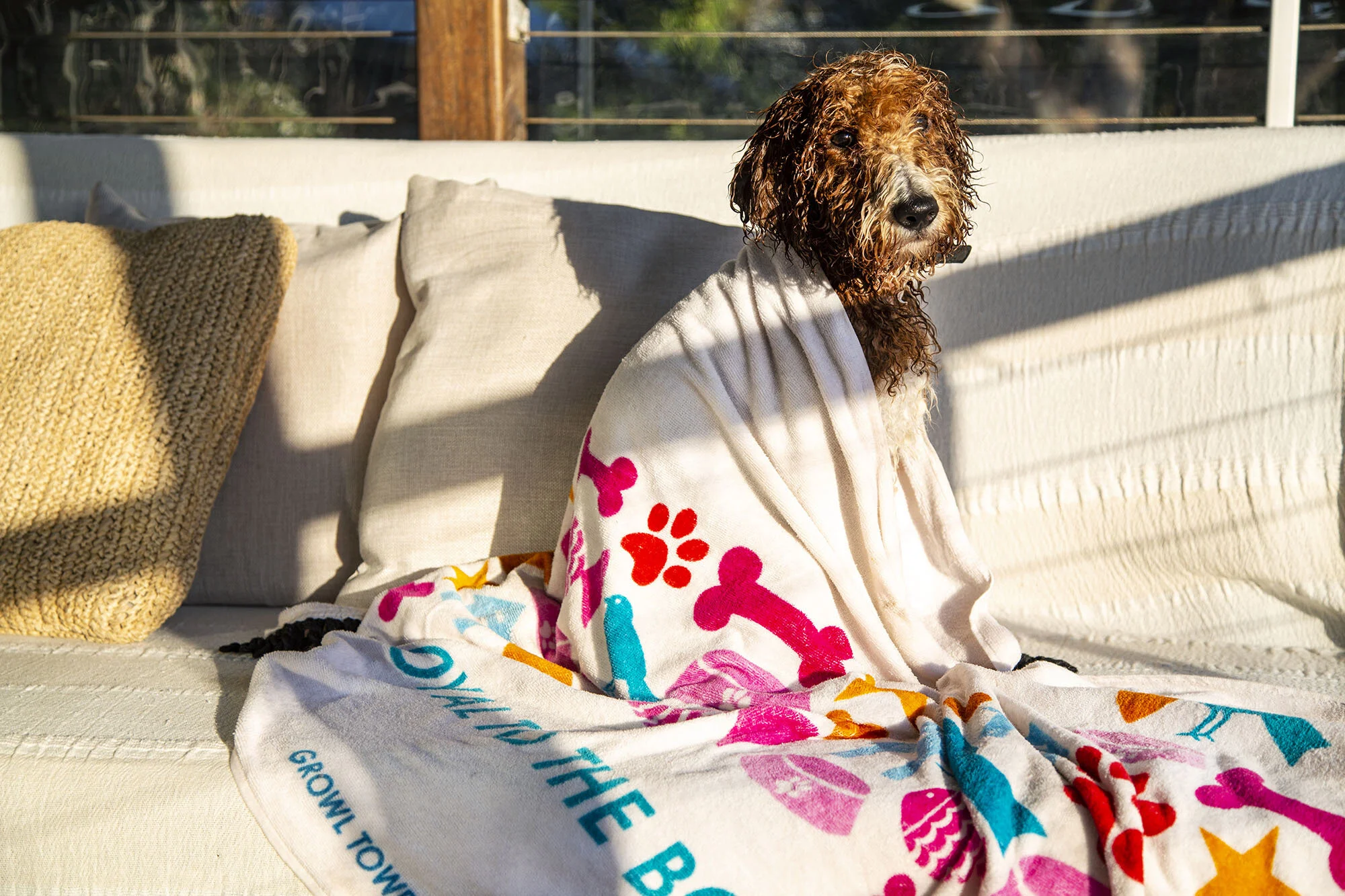 Loyal to the bone, dog surf towel