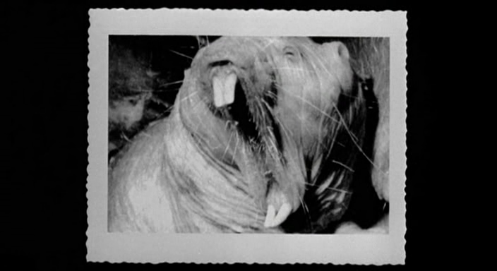 vlcsnap-2012-03-12-21h14m52s234.png
